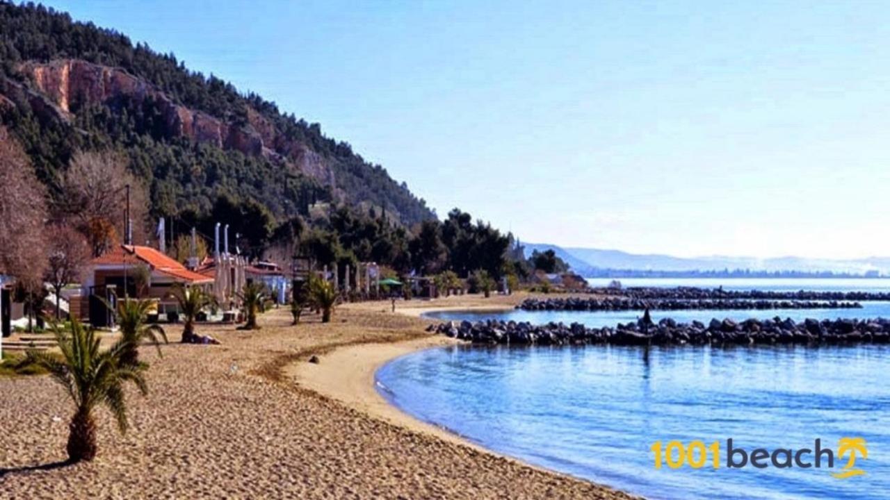 Alkistis House Villa Volos Exterior photo